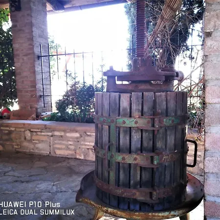 Con Piscina Villa Assisi