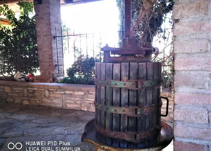 Con Piscina Villa Assisi